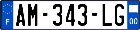 AM-343-LG
