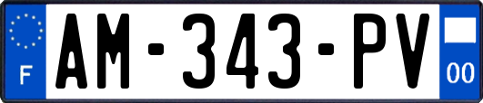 AM-343-PV
