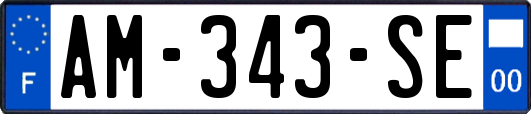 AM-343-SE