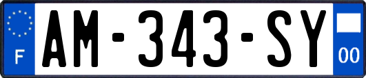 AM-343-SY