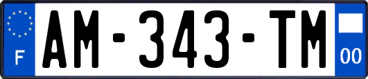 AM-343-TM