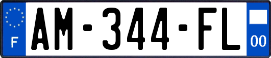 AM-344-FL