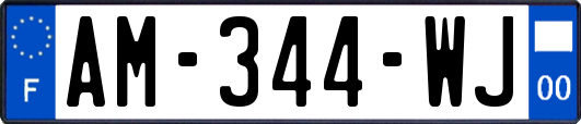 AM-344-WJ