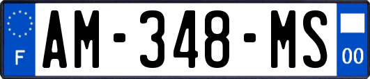 AM-348-MS