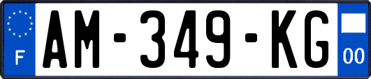 AM-349-KG