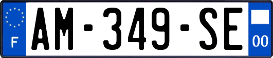 AM-349-SE