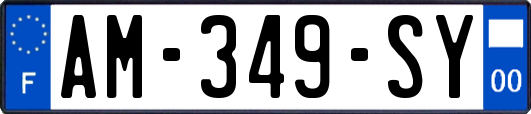 AM-349-SY