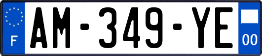 AM-349-YE
