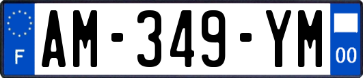 AM-349-YM