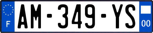 AM-349-YS