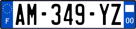 AM-349-YZ