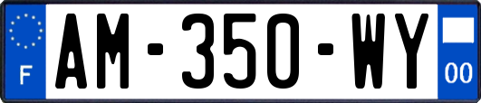 AM-350-WY