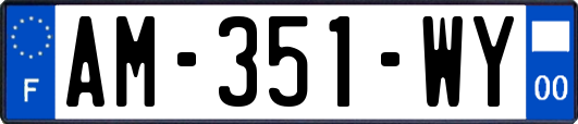 AM-351-WY