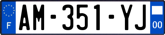 AM-351-YJ