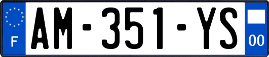 AM-351-YS