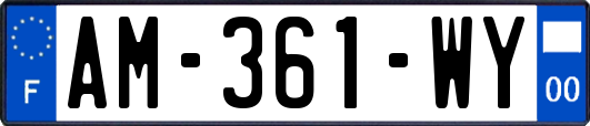 AM-361-WY