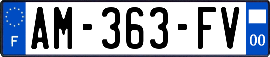 AM-363-FV