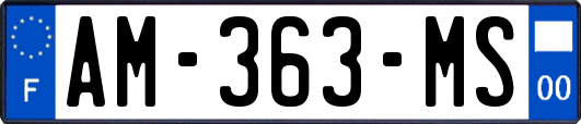 AM-363-MS