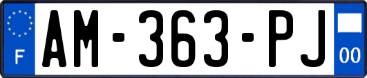 AM-363-PJ