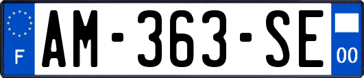 AM-363-SE