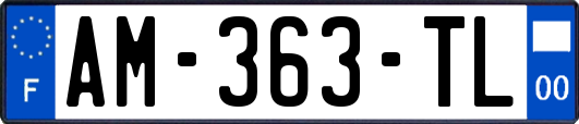 AM-363-TL