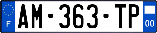 AM-363-TP