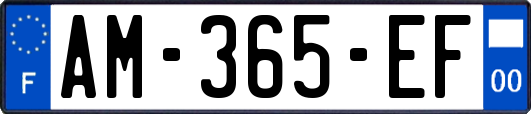 AM-365-EF