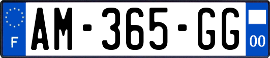 AM-365-GG