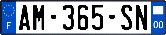 AM-365-SN