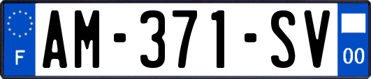 AM-371-SV