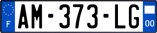 AM-373-LG