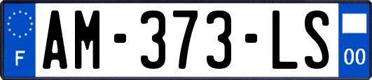AM-373-LS