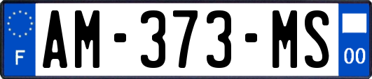 AM-373-MS