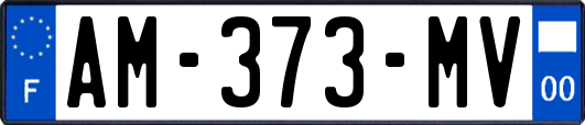 AM-373-MV