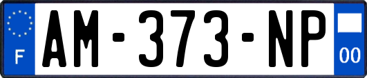AM-373-NP