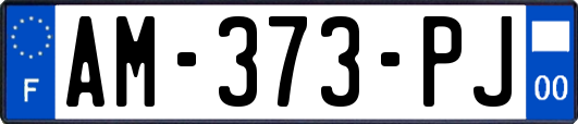 AM-373-PJ