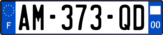 AM-373-QD