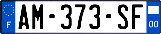 AM-373-SF