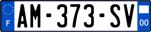AM-373-SV