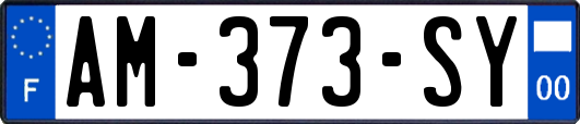 AM-373-SY