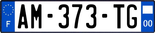 AM-373-TG
