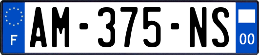 AM-375-NS