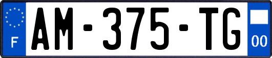 AM-375-TG