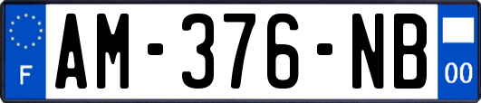 AM-376-NB