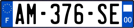 AM-376-SE