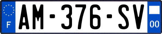 AM-376-SV