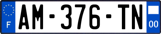 AM-376-TN