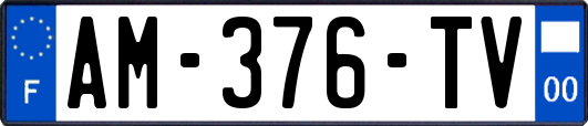 AM-376-TV
