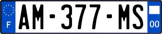 AM-377-MS