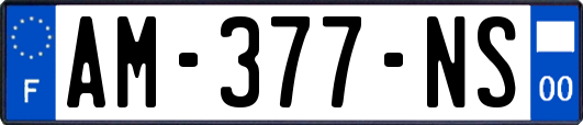 AM-377-NS